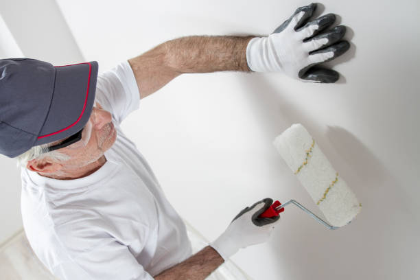 Best Asbestos and Lead Testing During Mold Inspection  in Maumee, OH