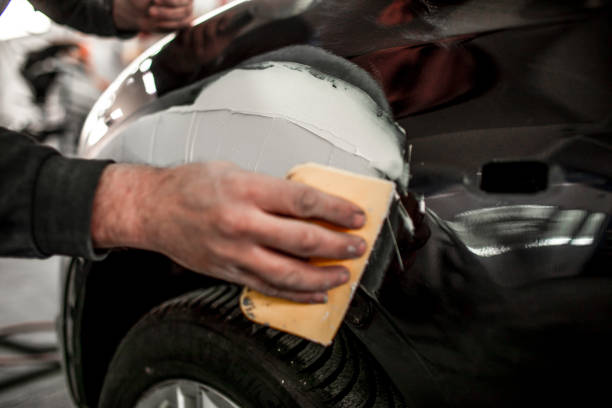 Best Dehumidification Services  in Maumee, OH