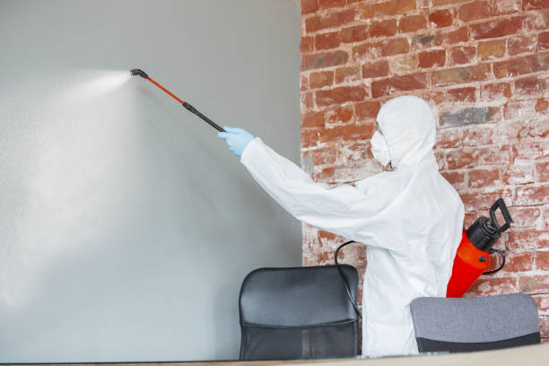 Mold Remediation for Rental Properties