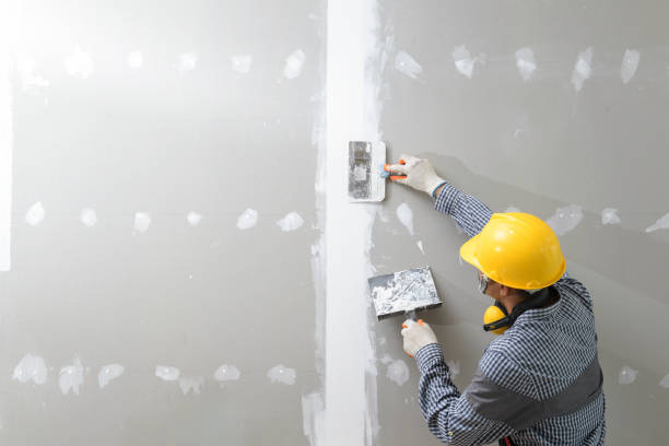 Best Asbestos and Lead Testing During Mold Inspection  in Maumee, OH