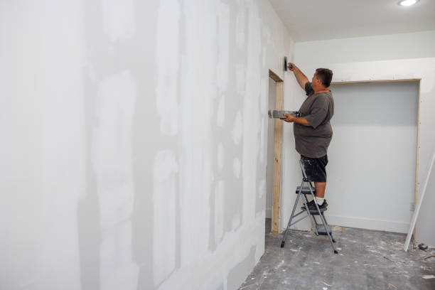 Reliable Maumee, OH Mold Removal Solutions