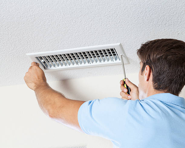 Best Black Mold Removal  in Maumee, OH