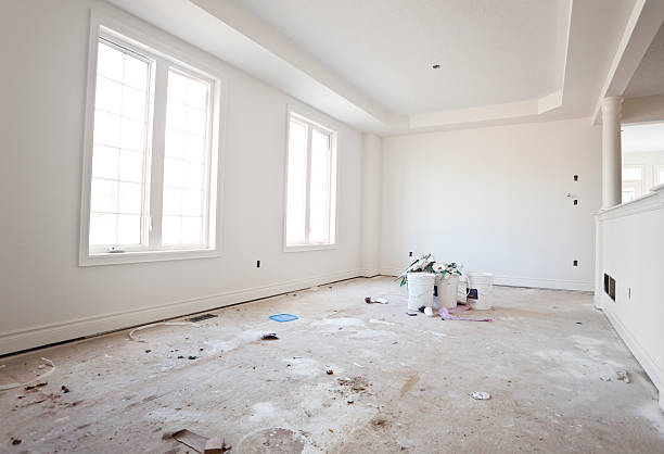 Reliable Maumee, OH Mold Removal Solutions