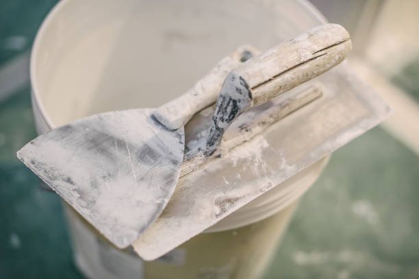 Best Biohazard Mold Removal  in Maumee, OH